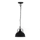 D10.4x11.4" Hanging Lamp