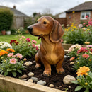 26'' Brown Dachshund Statue