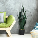 35.5 Inch Indoor-Outdoor Artificial Fake Snake Plant by LJGDeals