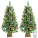 Set of 2, 4 ft Pre-Lit Christmas Trees