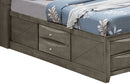 Modern Design Storage Bed With Bookcase Headboard by HouseOfZazla