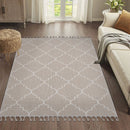 Guros - 4' X 6' Trellis Indoor / Outdoor Area Rug - Ivory by HouseOfZazla