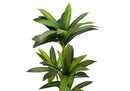 51" Tall Artificial Dracaena Tree by HouseOfZazla