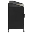 Arlette - 2 Door Mobile Home Bar Wine Cabinet With Smooth Rolling Casters - Black by HouseOfZazla