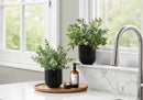 11" Tall Artificial Plant Eucalyptus Grass Indoor Decorative Set of 2 by HouseOfZazla