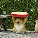 14" Capybara Holding Apple Slice Stool