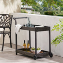 Resin Wicker Bar Cart With Metal Frame - Brown by HouseOfZazla