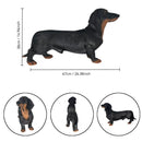 26" Black and Tan Dachshund Statue