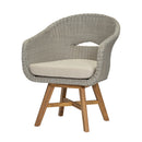 Outdoor Dining Arm Chair with Cushion, Set of 2