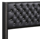 Upholstered Nailhead Trim Chic Bed by Unique Piece Furniture