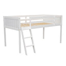 Low Loft Bed With Adjustable Ladder