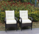 2-Piece Liberatore Dining Chairs with Beige Cushions by HouseOfZazla