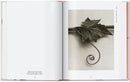 Karl Blossfeldt. The Complete Published Work. 45th Ed. (German, French, English)