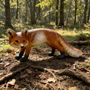 19.69" Long Realistic Red Fox Statue