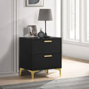 2 Drawer Rectangular Nightstand - Black by HouseOfZazla