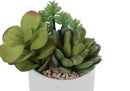 7" Tall Artificial Succulent Plant Set of 2 with White Ceramic Pots by HouseOfZazla