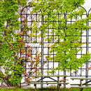Metal Garden Rustproof Trellis For Climbing Plants Outdoor Flower Support by Unique Piece Furniture