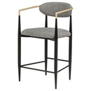 Tina Fabric Upholstered Counter Chair Dark Grey (Set of 2)