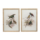 Bird Framed Print (Set of 2) - Multicolor by Unique Piece Furniture