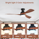 52-Inch Ceiling Fan with Lights and Reversible DC Motor by HouseOfZazla