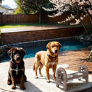 Adjustable Pet Bowl Travel Ready HDPE Durable Poly Lumber Recycled by HouseOfZazla