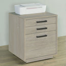 Loomis - 3 Drawer Home Office File Cabinet - White / Gray by HouseOfZazla