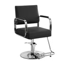 Barber Chair Salon Chair for Hair Stylist