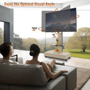 Adjustable Height Mobile TV Cart