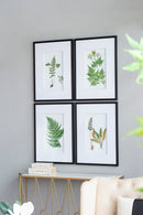 Botanical And Fern Wall Art, Wall Decor For Living Room Dining Room Entryway (Set of 4) - White / Black by HouseOfZazla
