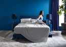 BedGear Dri-Tec Sheet Set, Light Grey, Full by HouseOfZazla