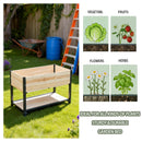 Solid Wood & Iron Frame Raised Garden Bed