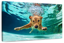 Diving Golden Retriever Wall Art