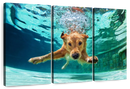 Diving Golden Retriever Wall Art