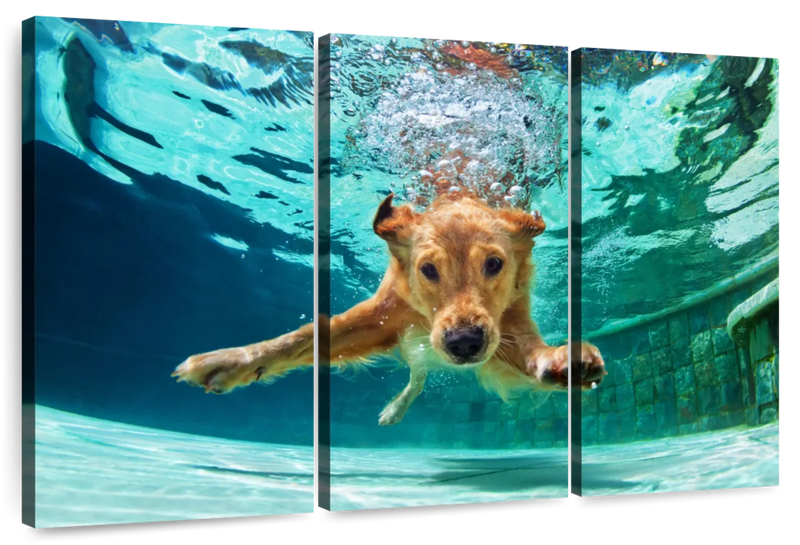 Diving Golden Retriever Wall Art