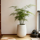 13.38' Dia x 16.14' H Large Round Planter by HouseOfZazla