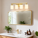 4-Light Brushed Bathroom Vanity Wall Light