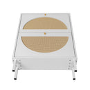 2 Door Shoe Rack, Rattan, Double Layer, Suitable For Living Room, Hallway - White
