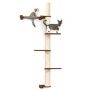The Crow's Nest - A Wall Cat Scratcher with Hammock