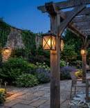 Leonis 10"High 1-Light Black Finish with Seeded Glass Shade Outdoor Wall Lantern
