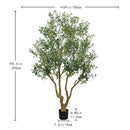Artificial Olive Tree Large With Trunk, Indoor / Outdoor Decorative Plant For Living Room - Green by HouseOfZazla