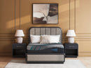 Millennium 2.0 Hybrid 14 Inch - Mattress by Unique Piece Furniture