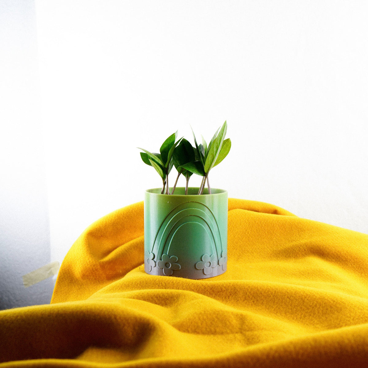 Daisy Rainbow Planter, photo 8 of 15