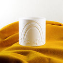 Daisy Rainbow Planter