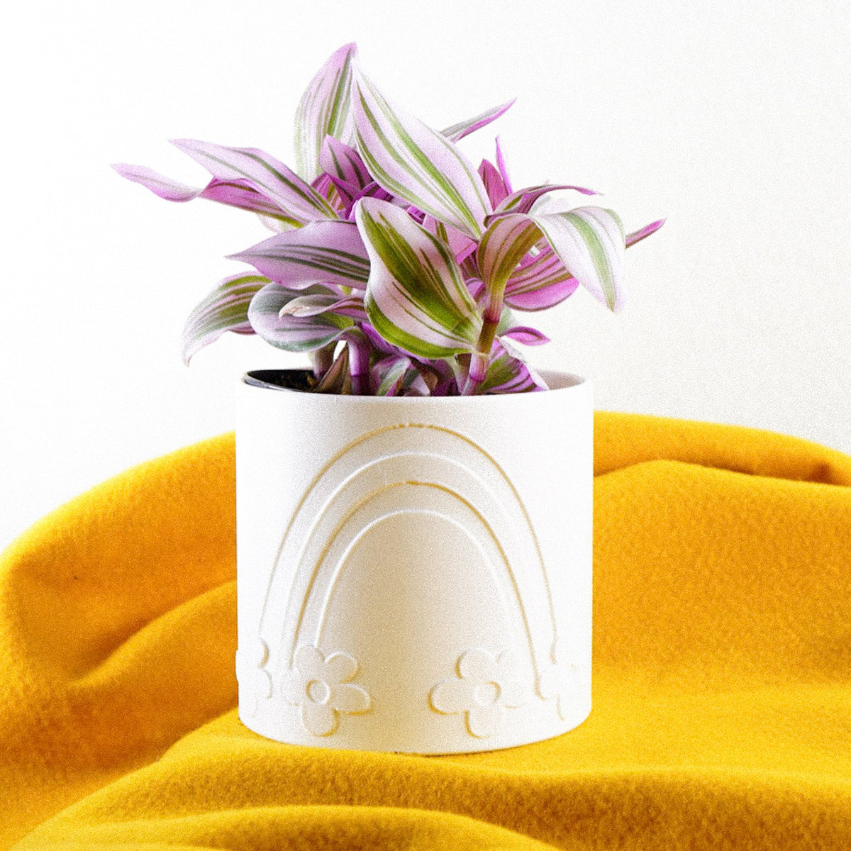 Daisy Rainbow Planter, photo 13 of 15