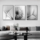 Modern black & white dandelion canvas wall art 3 piece set living room by Decorbites