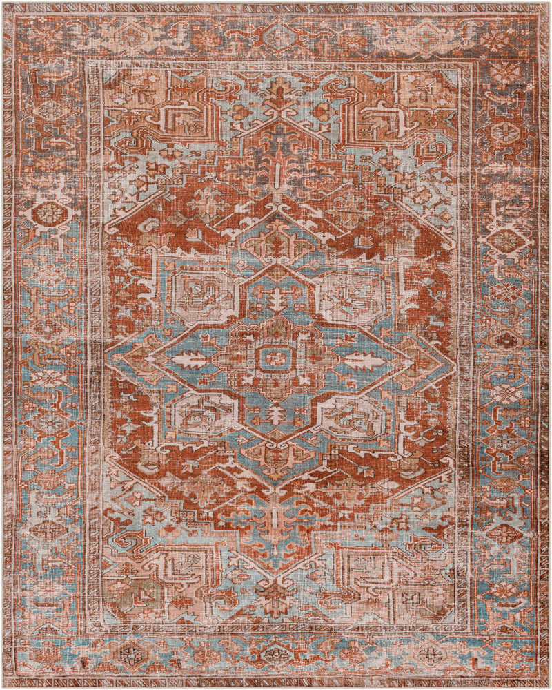 Darapidap Washable Area Rug - Clearance