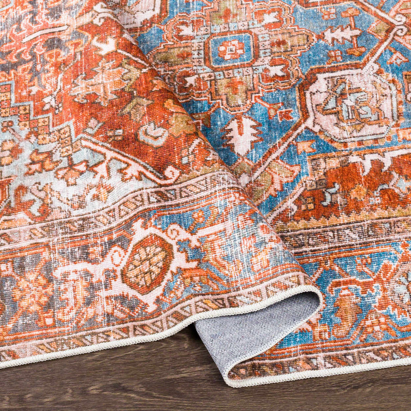 Darapidap Washable Area Rug - Clearance