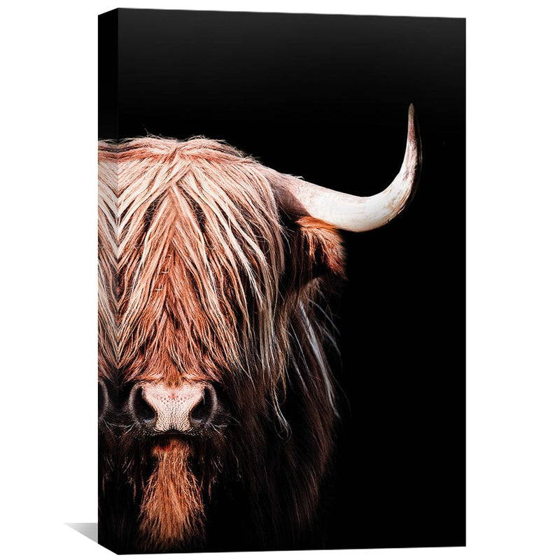 Dark Highlander 2 Canvas