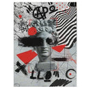 GobekUsa David Graffiti Art Canvas Print for Room Decor