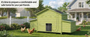 70" Automatic Chicken Coop with Solar-Powered Door by HouseOfZazla